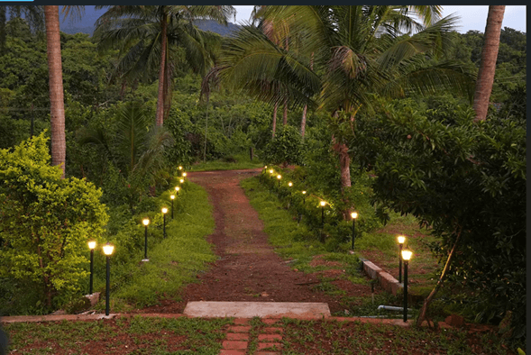 A farm stay in Goa