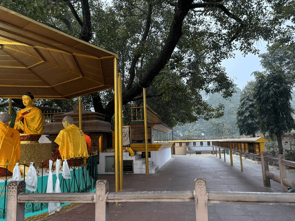 Sarnath, the cradle of Buddhism